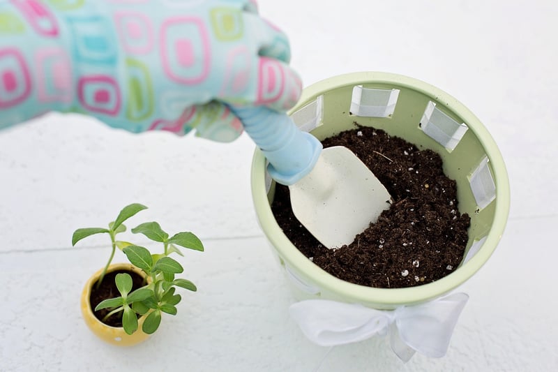 Container Gardening